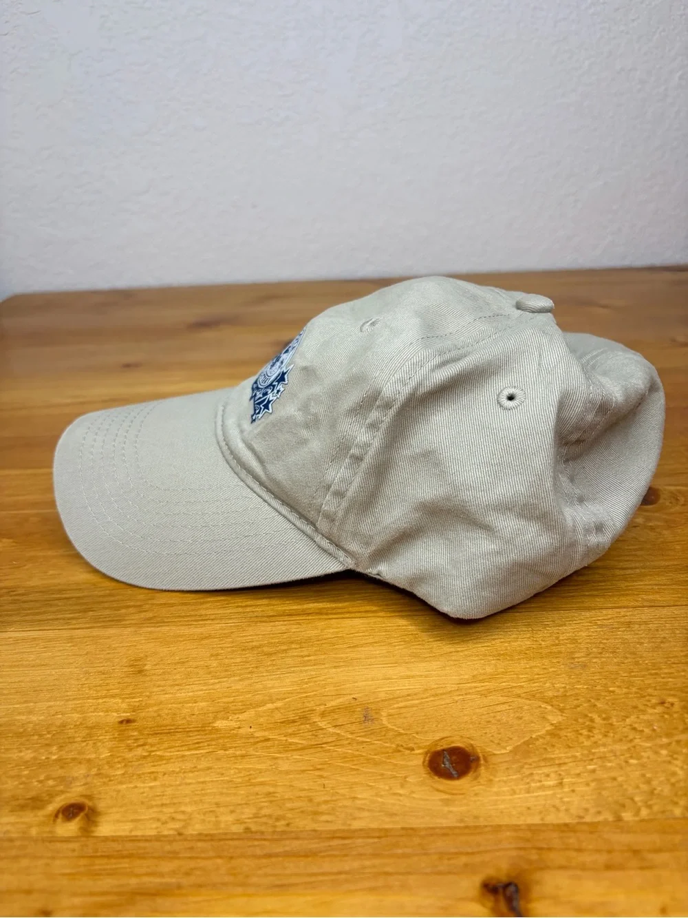 Vintage Minnesota State Lottery Hat American Image Loon Embroidered Wildlife Cap